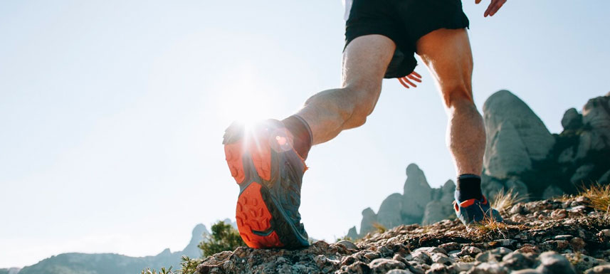 Viviendo en equilibrio: la sinfonía entre el deporte y el bienestar