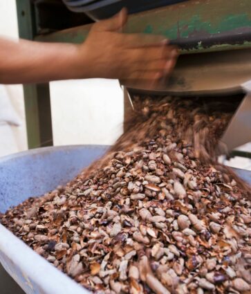 Paccari desvela mitos y leyendas sobre el chocolate