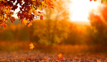 El otoño y el ánimo: cuando la luz se esconde