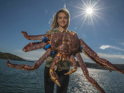 De salmón ahumado a ‘king crab’: Mar de Noruega exhibe sus pescados y mariscos más exquisitos por Navidad