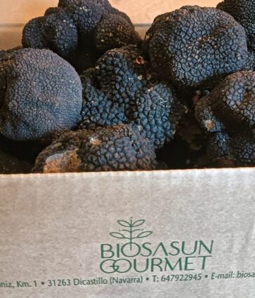 Uso, valor y reconocimiento del aceite trufado BIOSASUN en colaboración con la Asociación ALLOTARRA de Agricultura y Ganadería Ecológica