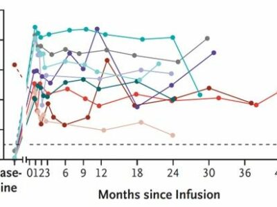 La Fundación Jiménez Díaz colidera una investigación pionera para tratar inmunodeficiencias con terapia génica