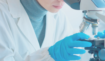 Conejos, clave en avances médicos: investigación ética impulsa la salud humana