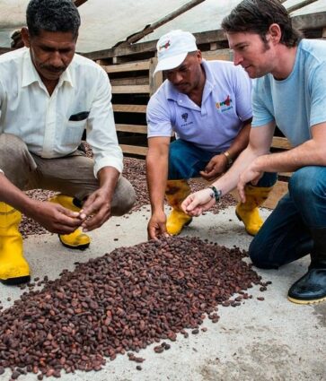 Paccari, el chocolate ecuatoriano que vela por la preservación del planeta y un mundo más equitativo