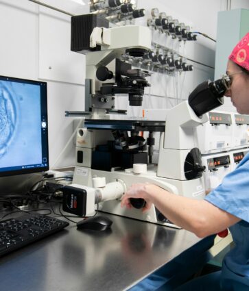 La edad materna no influye en la implantación embrionaria ni en la tasa de nacido vivo tras la transferencia de embriones euploides en ciclos de reproducción asistida
