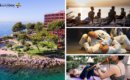 Vuelve del 22 al 27 de octubre el Mallorca BJJ and Yoga Festival