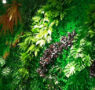 Jardines verticales artificiales: la solución decorativa que conquista interiores