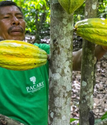 Ecuador se consolida como el destino ideal para los amantes del cacao