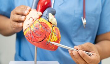 Dr. Gonzalo Navarrete, jefe del servicio de Cardiología de Policlínica Gipuzkoa: «El ejercicio físico es fundamental para prevenir enfermedades cardiovasculares, incluso independientemente del peso del paciente»