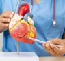 Dr. Gonzalo Navarrete, jefe del servicio de Cardiología de Policlínica Gipuzkoa: «El ejercicio físico es fundamental para prevenir enfermedades cardiovasculares, incluso independientemente del peso del paciente»