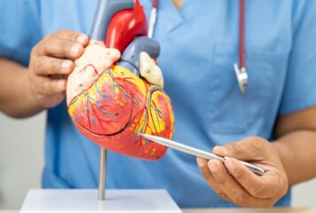 Dr. Gonzalo Navarrete, jefe del servicio de Cardiología de Policlínica Gipuzkoa: «El ejercicio físico es fundamental para prevenir enfermedades cardiovasculares, incluso independientemente del peso del paciente»