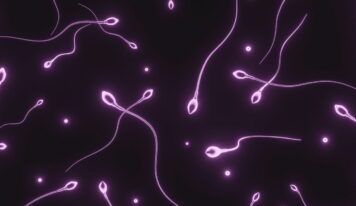 Dra. Miren Mandiola, directora del Laboratorio de Reproducción Asistida del Hospital de Día Quirónsalud Donostia: «Los donantes de semen tienen muchos más estudios realizados que cualquier pareja en un embarazo natural»