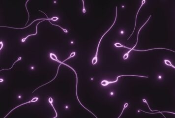 Dra. Miren Mandiola, directora del Laboratorio de Reproducción Asistida del Hospital de Día Quirónsalud Donostia: «Los donantes de semen tienen muchos más estudios realizados que cualquier pareja en un embarazo natural»