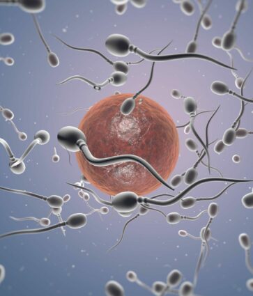 Dra. Miren Mandiola, directora del Laboratorio de Reproducción Asistida del Hospital de Día Quirónsalud Donostia: «Preservar la fertilidad permite a la mujer conciliar maternidad y proyectos personales»