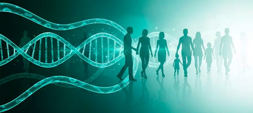 ¿Qué es Inuspheresis y cuáles son sus beneficios para la salud?