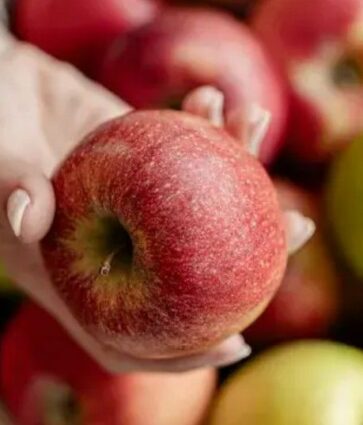La manzana europea como hilo conductor: energía natural desde el desayuno hasta la cena