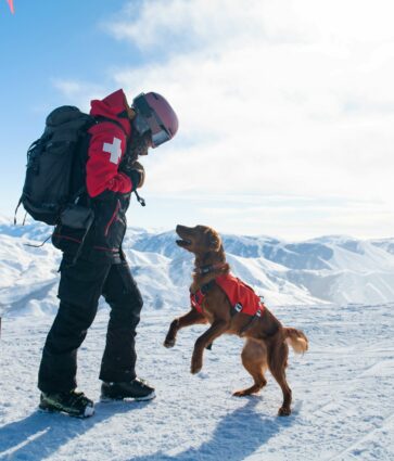 Nulo aterriza en España junto a IskayPet para revolucionar la nutrición premium para mascotas