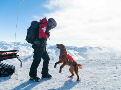 Nulo aterriza en España junto a IskayPet para revolucionar la nutrición premium para mascotas
