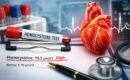 Homocisteína alta: qué revela este marcador sobre la salud cardiovascular