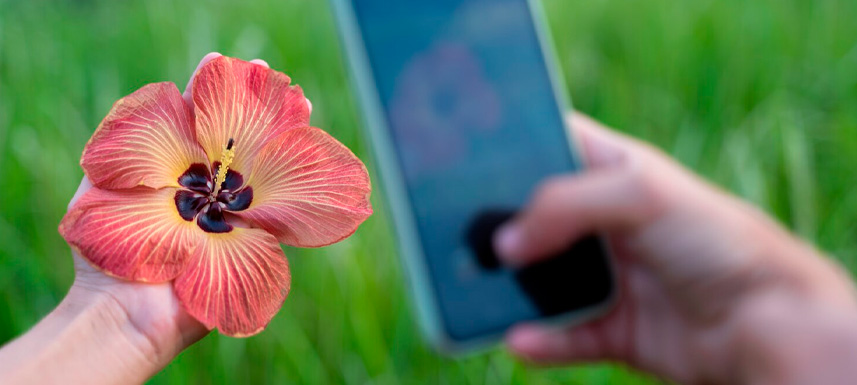 Cambios de hábitos que marcan la diferencia Cambios de hábitos que marcan la diferencia