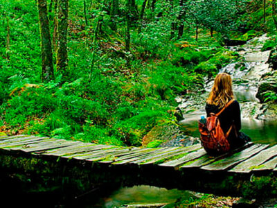 El despertar de los sentidos: por qué el turismo rural es la clave de tu salud mental
