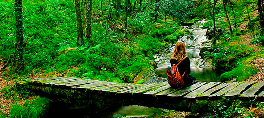 El despertar de los sentidos: por qué el turismo rural es la clave de tu salud mental