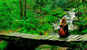 El despertar de los sentidos: por qué el turismo rural es la clave de tu salud mental