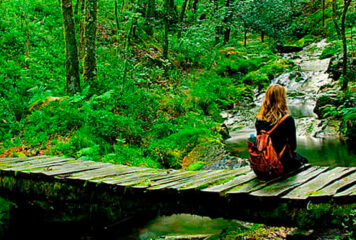 El despertar de los sentidos: por qué el turismo rural es la clave de tu salud mental