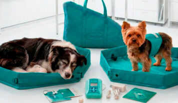 Diferencias entre terapias magnéticas y tratamientos veterinarios tradicionales