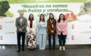 Brócoli, alcachofa y fresa, los nuevos ‘hits’ saludables: 370 millones de europeos ya conocen sus virtudes