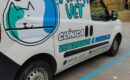 Prontivet impulsa el servicio de ambulancia veterinaria 24 horas en Barcelona y Girona