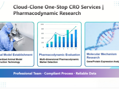 Cloud-Clone refuerza sus servicios CRO para impulsar el desarrollo preclínico de terapias frente a enfermedades cerebrales
