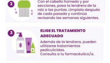 El Colegio de Farmacéuticos de Gipuzkoa recuerda cómo actuar ante la aparición de piojos en la vuelta al cole